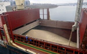 Україна та ЄС обговорюють компенсації для агроекспорту через порти