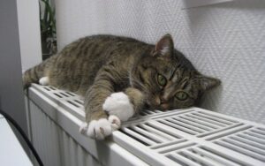 У Львові опалення стартує 30 жовтня в Одесі
